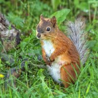 После дождика в четверг :: Вячеслав Минаев