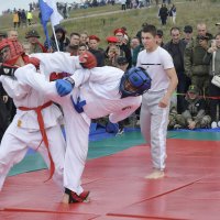 Точный удар.. :: Дмитрий Петренко