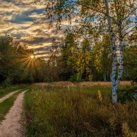 Осень она не спросит 7 :: Андрей Дворников