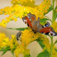 из вчерашней съёмки 4 :: Александр Прокудин из вчерашней съёмки 4 :: Александр Прокудин