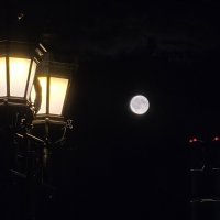 Ночь :: Мария Яковлева