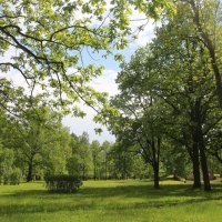 Орловский парк :: Наталья Герасимова Орловский парк :: Наталья Герасимова