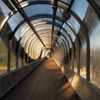 Дорога жизни :-) :: Андрей Лукьянов