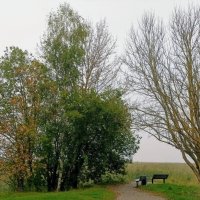 Туман, туман... :: Veera V Туман, туман... :: Veera V