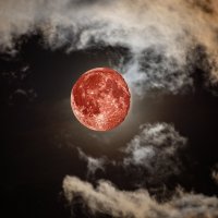 Кровавая луна :: Виктор Орехов