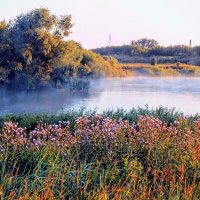 Волшебное утро! :: Елена Хайдукова  ( Elena Fly )