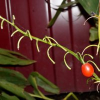 ... :: Андрей Катков ... :: Андрей Катков