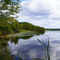 Лесное озеро. Ракурс начала сентября :: Галина Кан
