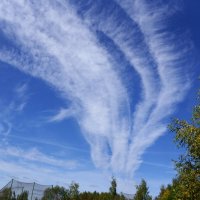 !!!! :: kolyeretka !!!! :: kolyeretka