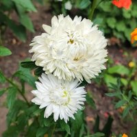 ,,, :: Сергей Тимоновский