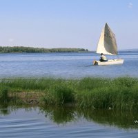 Парус на Волге. :: Анатолий Уткин