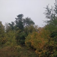 После дождичка в четверг... :: Андрей Хлопонин После дождичка в четверг... :: Андрей Хлопонин