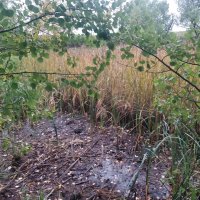 Болотце :: Андрей Хлопонин