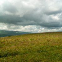 Плато Лаго-Наки, июль :: Игорь Сикорский