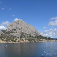 Природа Крыма :: Amazing Cosmea Природа Крыма :: Amazing Cosmea