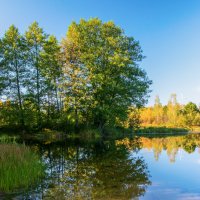 *** :: Игорь Чичиль