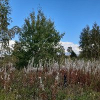 Вот и осень :: Галина Минчук