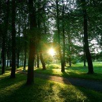 Солнце 3 :: Игорь Тельцов