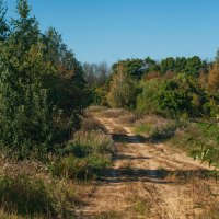 По полевым дорогам :: Дмитрий Ряховский По полевым дорогам :: Дмитрий Ряховский