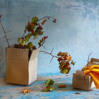 коробочки и боярышник :: Наталья S