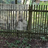 необычные картины :: Галина R...