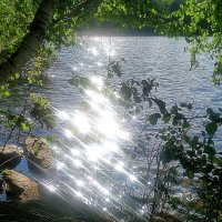 Озорное солнце :: Hope 