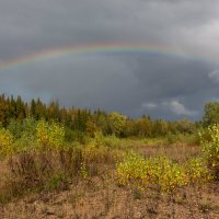 Осенняя радуга :: Евгений Тарасов 