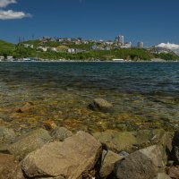 ... :: Жора Житников