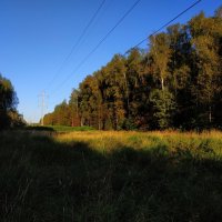 Бабье лето в Измайловском парке :: Андрей Лукьянов Бабье лето в Измайловском парке :: Андрей Лукьянов