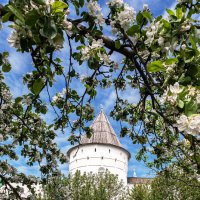 Ростов Великий. Весна в монастырском саду :: Galina 