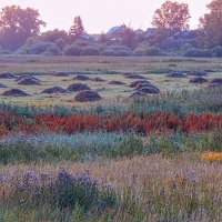 В туманной дЫмке горизонт! :: Елена Хайдукова  ( Elena Fly )