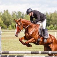 Конкур :: SanSan 