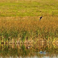 Природа Хакасии :: Евгений 