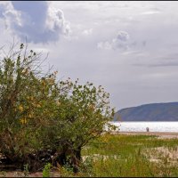 Волга :: **** vedin Волга :: **** vedin