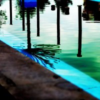 Движение :: Юрий Гайворонскiий