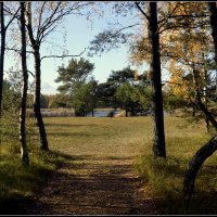 Прекрасная пора :: Aleksandr Gal