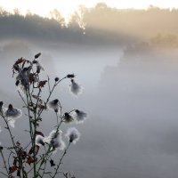 Утро в Царицыне :: Михаил Бибичков Утро в Царицыне :: Михаил Бибичков