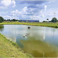 На пруду. :: Валерия Комова