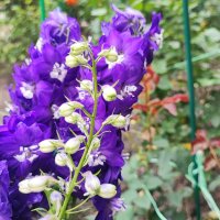 ,,, :: Сергей Тимоновский