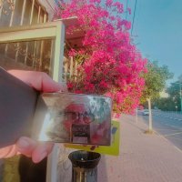 13  ОПЕН (334) :: OPEN WAYS ALL