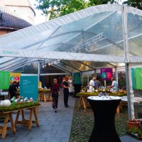 Выставка грибов около Музея природы :: Aida10 