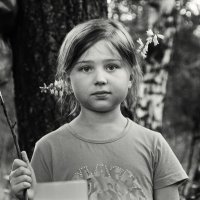 Приговор сардельке :: СЮ 