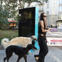 На бульваре :: svk *