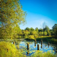 *** :: Игорь Чичиль