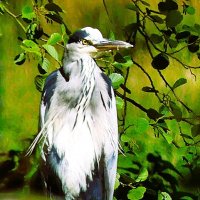 Маскировка :: Владимир Манкер Маскировка :: Владимир Манкер