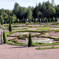 Газон :: Валерий Пославский Газон :: Валерий Пославский