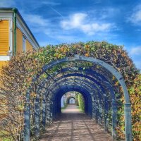 Кусково :: Irene Irene