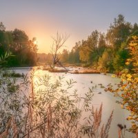 Золото заката :: Сергей 