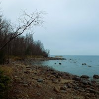 Глубокая осень :: Хватова Марина 