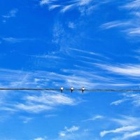 Высоко-высоко  сидим :: Hope 